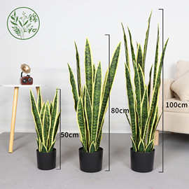 仿真虎皮兰塑料假树植物落地盆栽树 客厅室内花装饰假绿植盆景