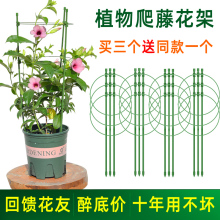爬藤花园艺支柱阳台绿萝月季铁线莲藤本植物攀爬蟹爪兰支撑杆爆款