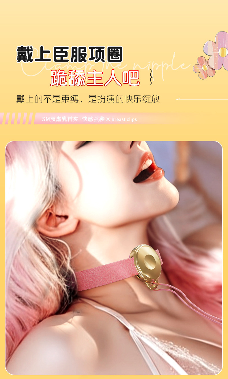 Vibrating Nipple Clamps with Remote Control, USB Rechargeable SM Couple Toy — detail image 17