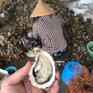 ����r��^�S����ɽ��򺸣��������R�������С���һ���