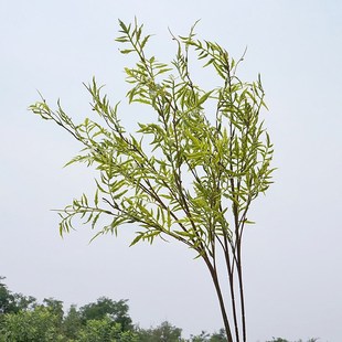 �ջ��~�����֦5�氬���~���滨�ٻ��Ҿӻ�c�zӰ����ܛ�b�b�