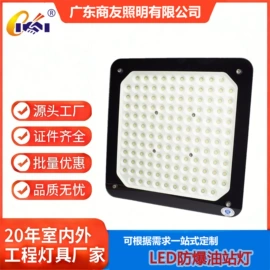 其他室内灯具;投光灯;景观灯