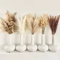  bouquet из засушенных цветов (Панпас трава) Натуральная pampas композиция, 60–70 см, декор для гостиной