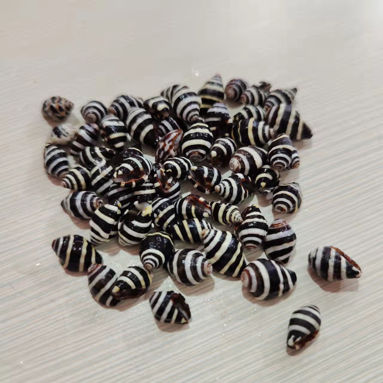 微信图片_20211116132341