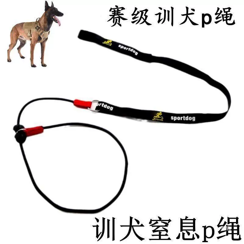 Поводок для дрессировки собак, шоковая веревка, цепочка для дрессировки домашних животных для маленьких, средних и больших собак, поводок для выгула собак Лабрадор