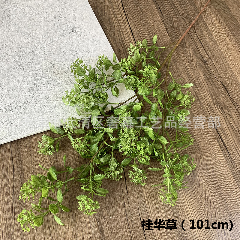 계수나무 꽃