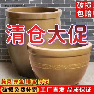 ~�մ����~���B�~��ʽ����ش�̖ͥԺ�ŷ����������쾰�ɻ����պ�