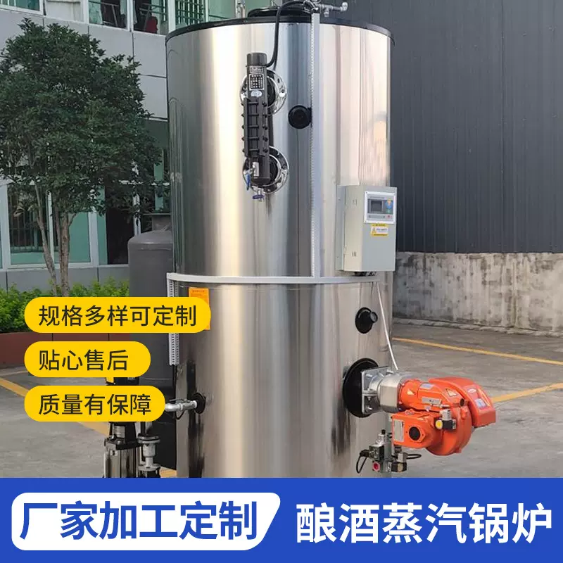 燃气蒸汽发生器燃气热水锅炉反应釜加热蒸汽锅炉生物质蒸汽锅炉