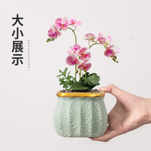 �մɻ������l���s��߅�����m���øߙn���þGֲ��͏d�T����������