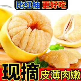 传统糕点;西式糕点;饼干