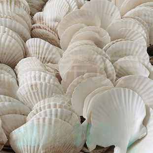 ���������ط۽z��ɫ����ؐ������ؐ�����İ뚤���бPؐ�����u