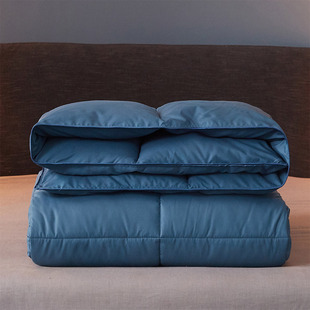 White goose down quilt padded warm down quilt winter quilt duck down quilt core dormitory goose down quilt double spring new