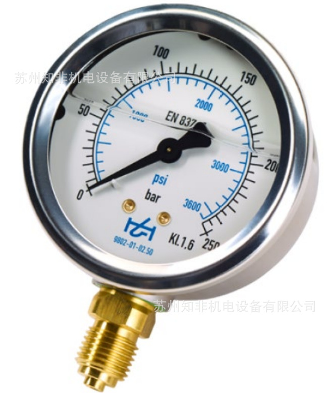 9802-01-02.50壓力表