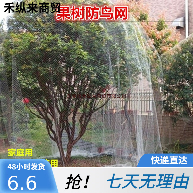 防鸟网网罩果树葡萄防护罩樱桃树尼龙网子果子专用防鸟网