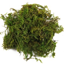 ��Ȼɫ̦�\ ̦�� �廨�o�� ����ֲ��Ҿ��b[�Oˮ̦ ��̦