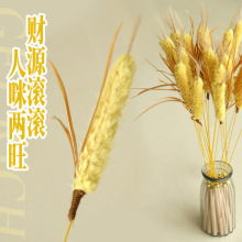 新品仿真麦穗逗猫棒磨牙耐咬猫猫铃铛解闷逗猫棒玩具宠物用品