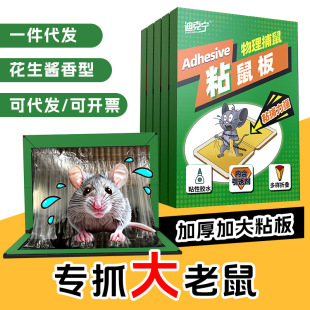 �Ͽˌ�ճ�����Ü�����A�z�\�����N��̖ճ��������l֧�����Q