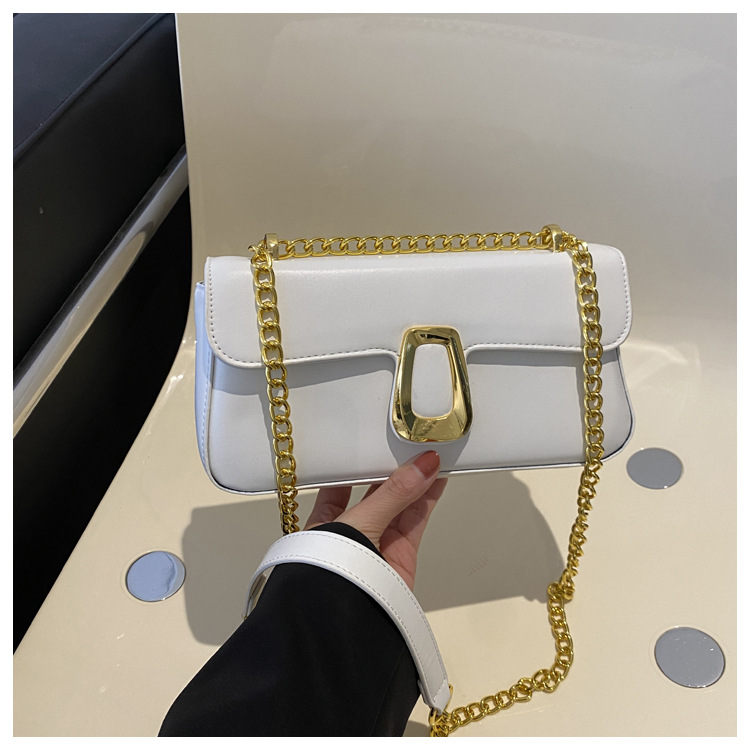 Bolso de cadena simple de alta calidad de color sólido bolso de mujer 2023, nuevo bolso de diseño de nicho de invierno, bolso de hombro inclinado