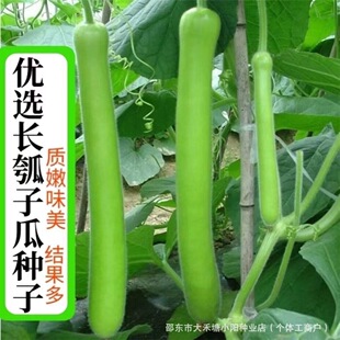 ���۴�����ӹϷN���L��ˮ���߲˷N�Ӵ�����ø߮a�����׷N����