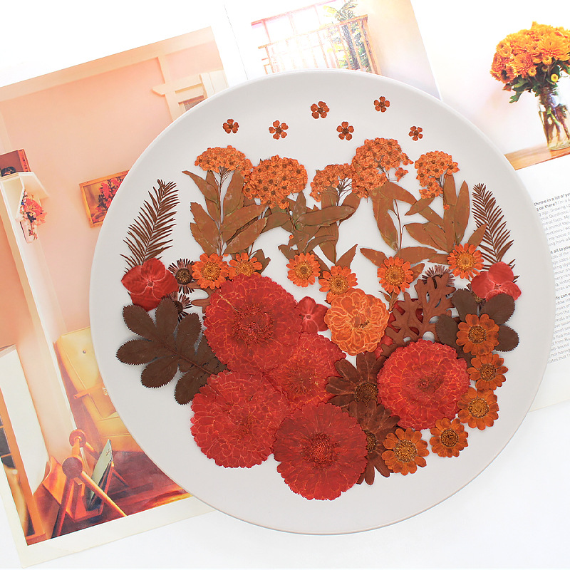 棕色花材工厂直销干花压花黑色系列植物标本真花树叶押花材料包