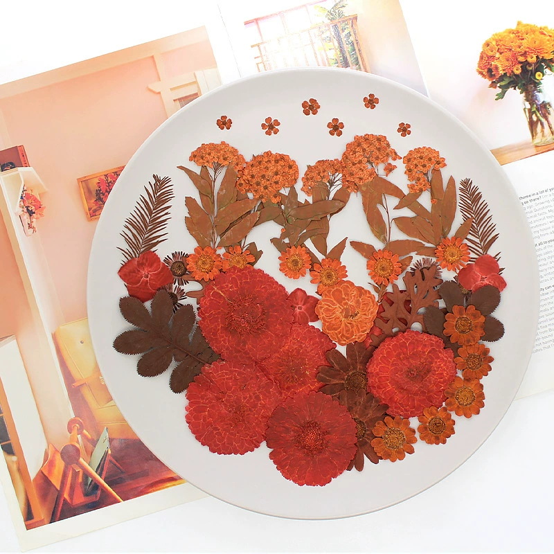 Коричневый цветочный материал фабрика прямых продаж Сухое цветочное тиснение черная серия образец растения настоящая цветочная листва