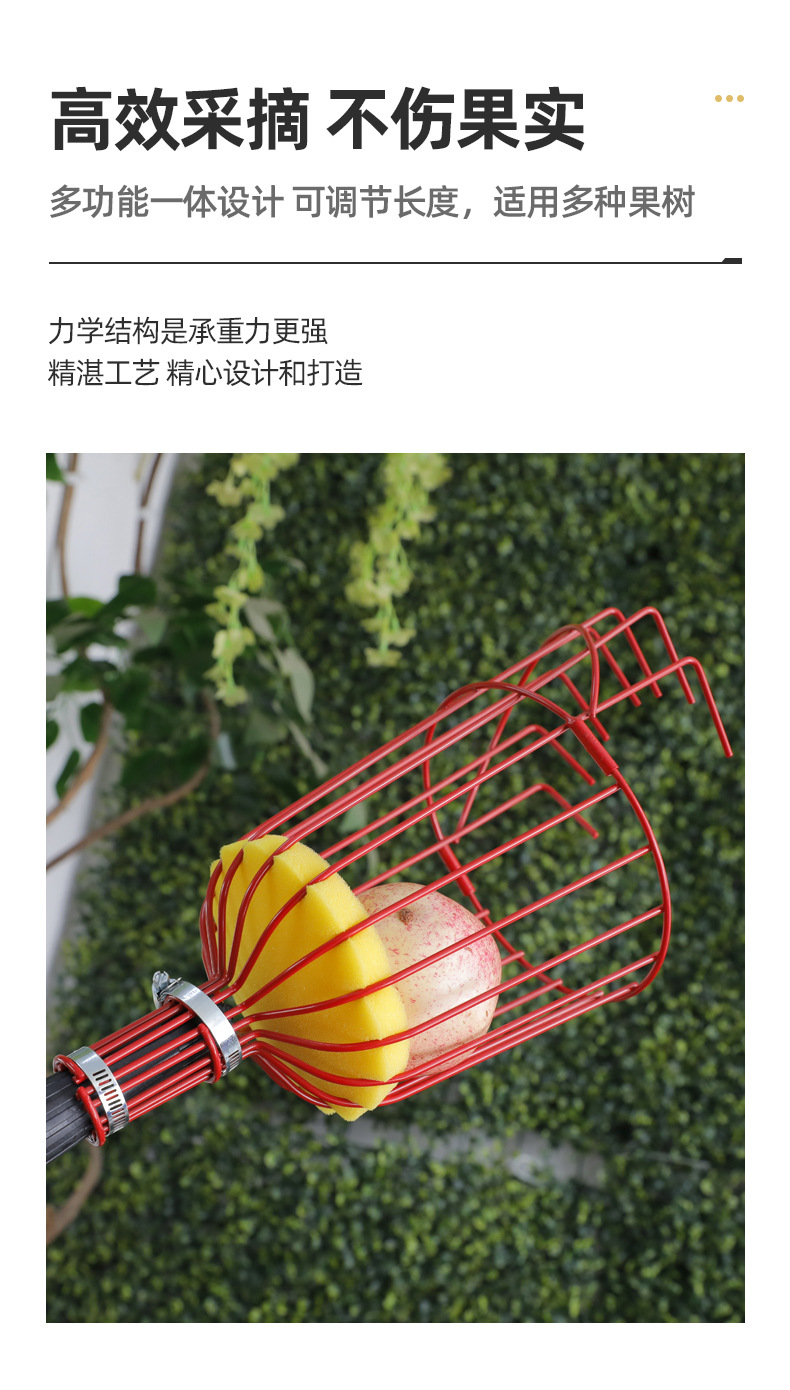 O1CN01dYfjyr1CVR5FEsSd9_!!2494650086-0-cib.jpg?__r__=1734751210107