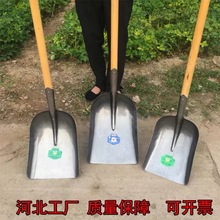 全钢大煤锹加厚道轨钢铁锨锰钢淬火锹农用铲子晒粮食清垃圾大板锹
