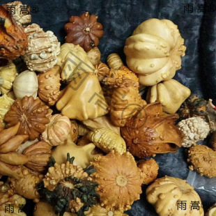 �J�wī�������Ǻ��J���Ϲ��߲��w��������߶���