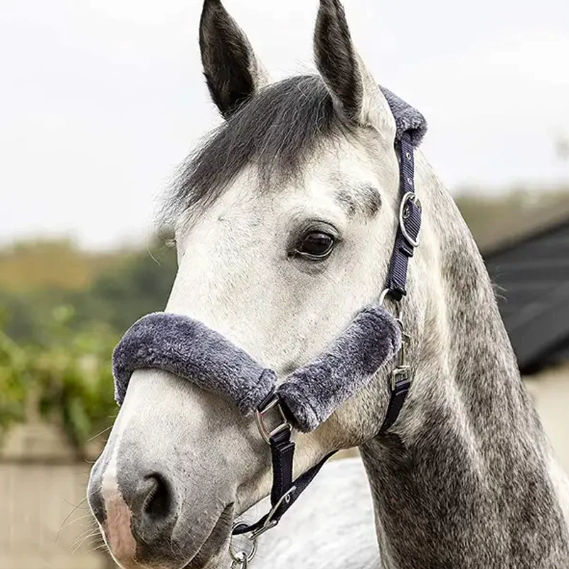 Высококачественные мягкие конные упряжи из овечьей кожи оптом от производителя, популярные товары для конного спорта, популярные на международных рынках.
