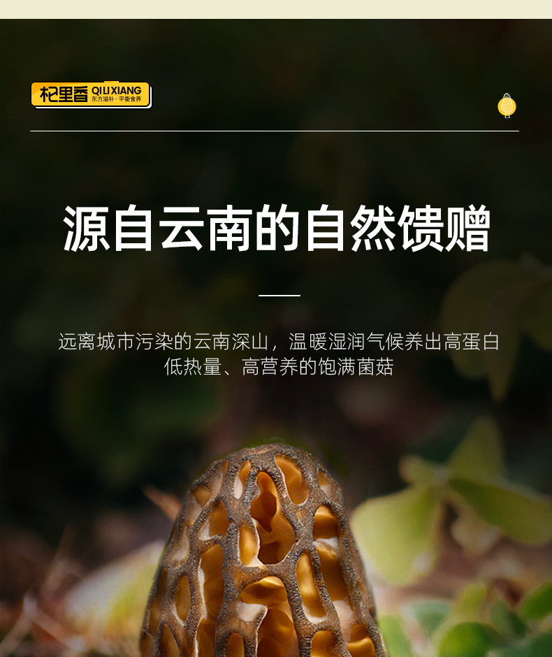 Dried Morel Mushroom 50g Box Yunnan Edible Fungus for Cooking and Soup overview