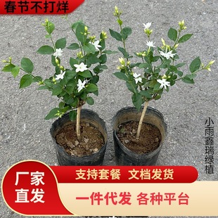 һ�����l�������Ԙ����ļ��_�r������ˮ�P�����򎧻�������҃�