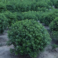 �޴��۹����繹������˹������ļ������ϱ���ͥԺӣ���ͺ��̻���