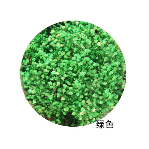 ネイルアートの乾いた花の永遠の命の満天の星の花束は顔の化粧の爪のアクセサリーの光を貼ることができます。|undefined