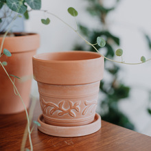 ���P �t�Տ͹Ÿ����������⻨���մ���ʽ�؟��������͸��t����