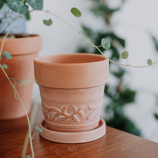 ���P �t�Տ͹Ÿ����������⻨���մ���ʽ�؟��������͸��t����