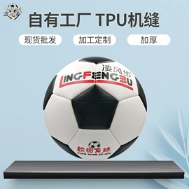 足球;篮球;排球