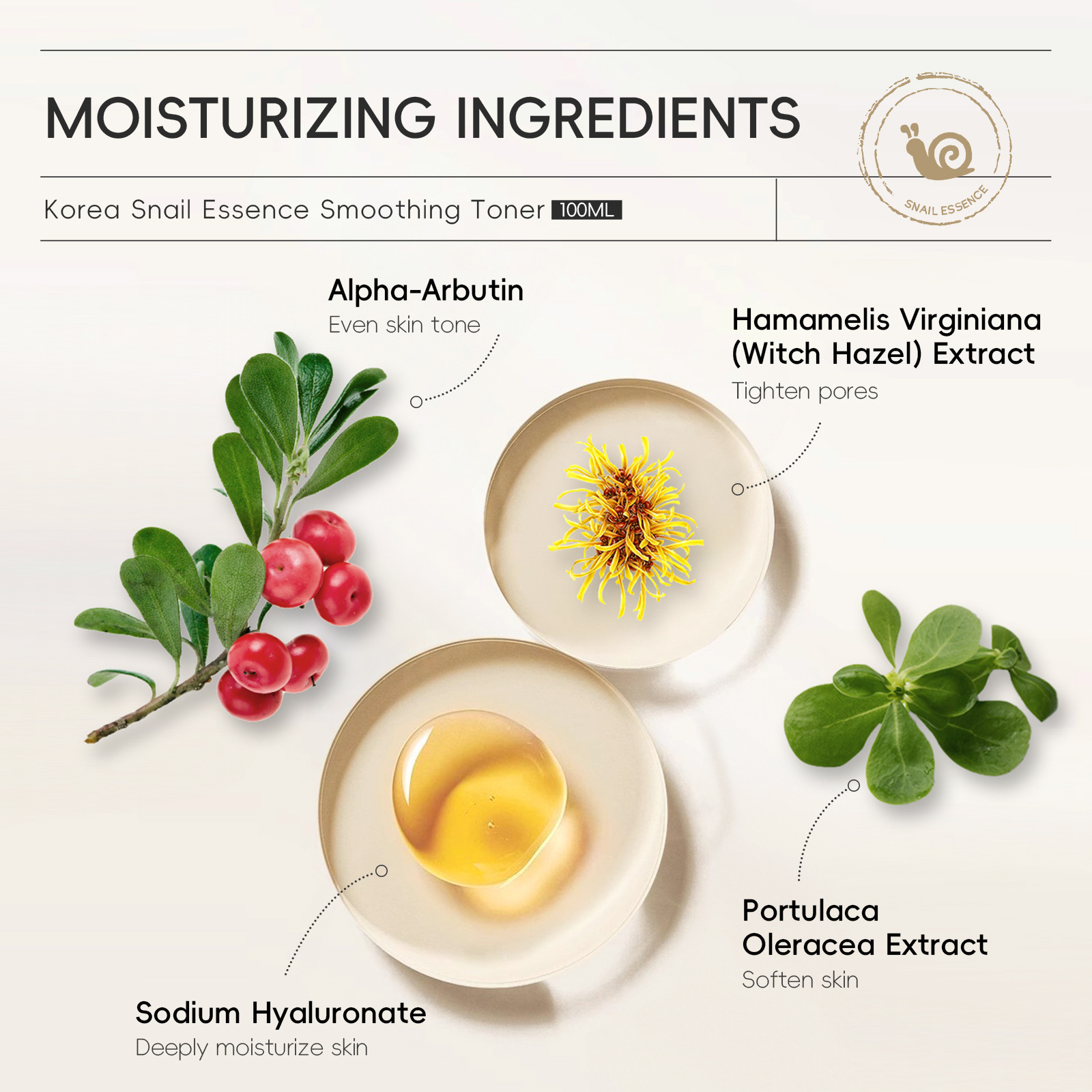 Cross-border LAIKOU Korean Snail Essence Toner 100ml Hydrating and Moisturizing Manufacturer in stock undefined