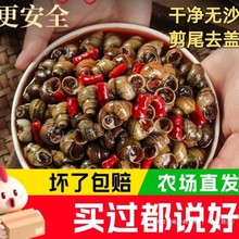 麻辣香辣田螺熟食袋装500g口味嗦螺石螺儿时零食螺蛳饭店餐饮用无