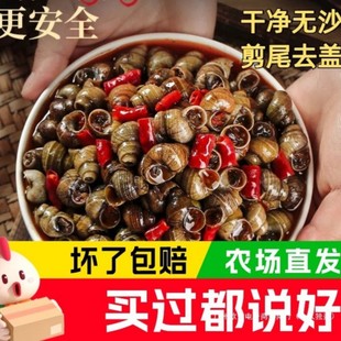 ��������������ʳ���b500g��ζ����ʯ�݃��r��ʳ��·����ßo