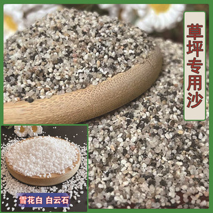 �F؛���� ��ƺɳ ��ɳ  ��ɳ ���Bɰ�{��ɺ�ɰ ����ɳ