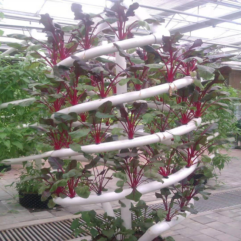 Instalaciones de cultivo sin suelo de invernadero nutrición hidropónica tridimensional plantación de ranura en espiral de doble tubo cultivo sin suelo en espiral grande
