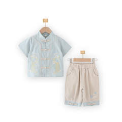 Children's Hanfu Costume for Kids, Vintage Tang-style Clothing for Baby's First Birthday, Boys' Hanfu Summer Outfit, Wholesale Hanfu and Guoxue Attire