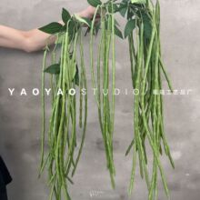 ����ֲ���L���� �����ٙ�����е��߼ٻ��Ƶ�ܛ�b��ˇֲ��b�