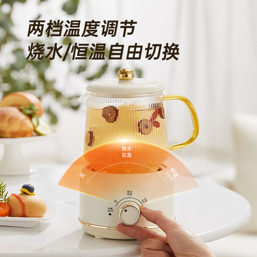 Health-preserving Pot Office Small Mini Multifunctional Flower Tea Electric Stewer Tea Pot Gift Box Festival Gift Health Cup