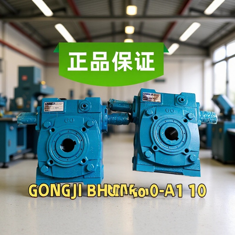 BHQM60-AI 10:1 BHQM60-A1  15:1 GONGJI工机减速机GONGTZYH减速