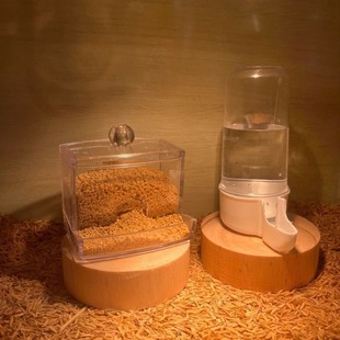 �J���uιʳ���Ԅ�ιˮ��ʳ���W�^�B�����P����ʳ��ʳ�������B��