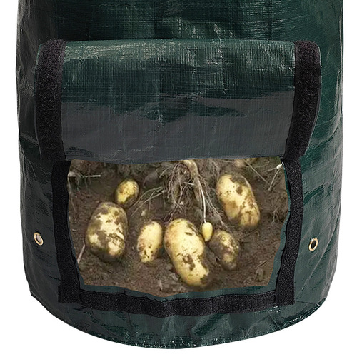 PE Potato Planting Bag Strawberry Aesthetic Planting Bag Wholesale Gardening Window Observation Tree Seedling Raising Origin Manufacturer Potted Planting