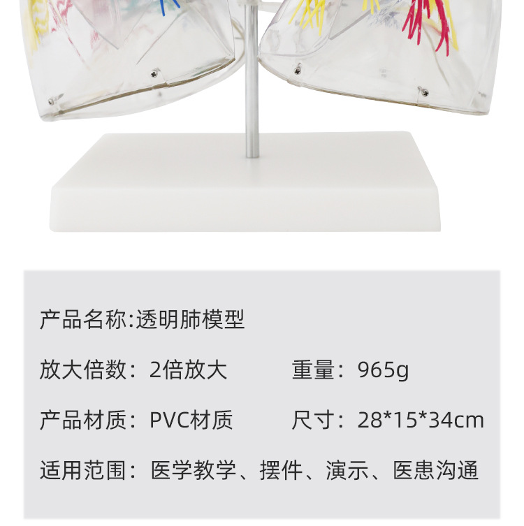 O1CN012QGOZx2Kk6Xy9b9Fs_!!3578