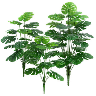 ��������������� ���W�L�Ҿ��bGֲ ��䁙�������[������辰