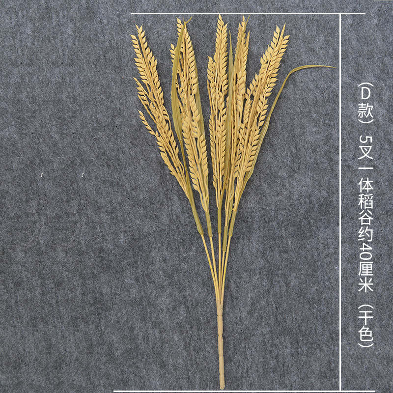 (D) 5 포크 일체형 쌀 (드라이 컬러)